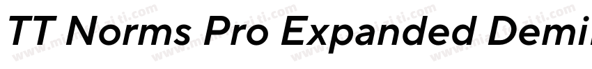 TT Norms Pro Expanded DemiBold Ital字体转换